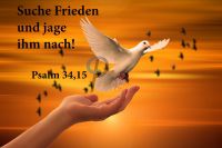 555 Jahreslosung 2019 weiße Taube 555 Jahreslosung 2019 weiße Taube